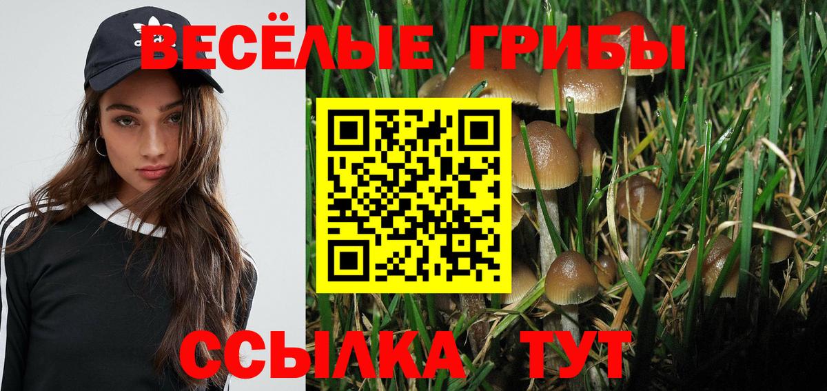 как найти   Псилоцибиновые грибы мицелий  Вход с VPN  Удомля 