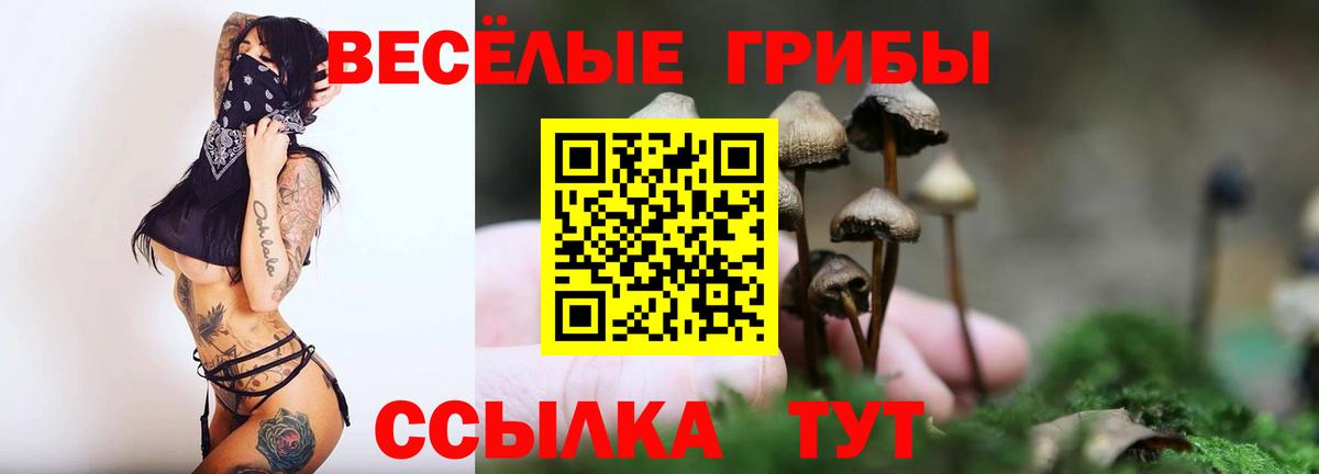 Псилоцибиновые грибы мицелий Удомля